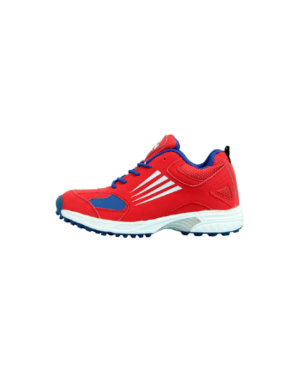 RXN Cricket Shoes for Men