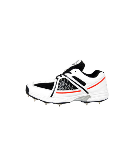 RXN Cricket Shoes for Men (Test Match)