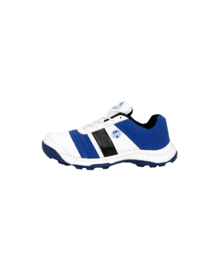 RXN Cricket Shoes for Men (twenty-20)