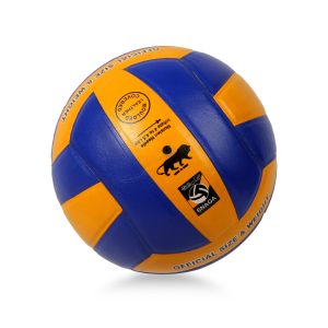 VOLLEYBALL 3