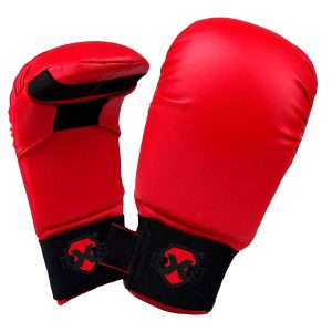 taekwondo gloves copy